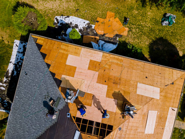 Best Shingle Roofing Installation  in Ventress, LA