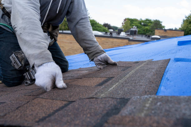Best Residential Roofing Contractor  in Ventress, LA